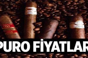 Puro Fiyatlari 1024x622mVj.jpg