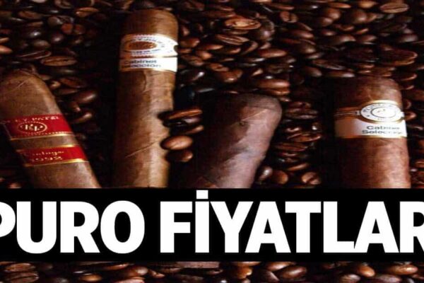 Puro Fiyatlari 1024x622mVj.jpg